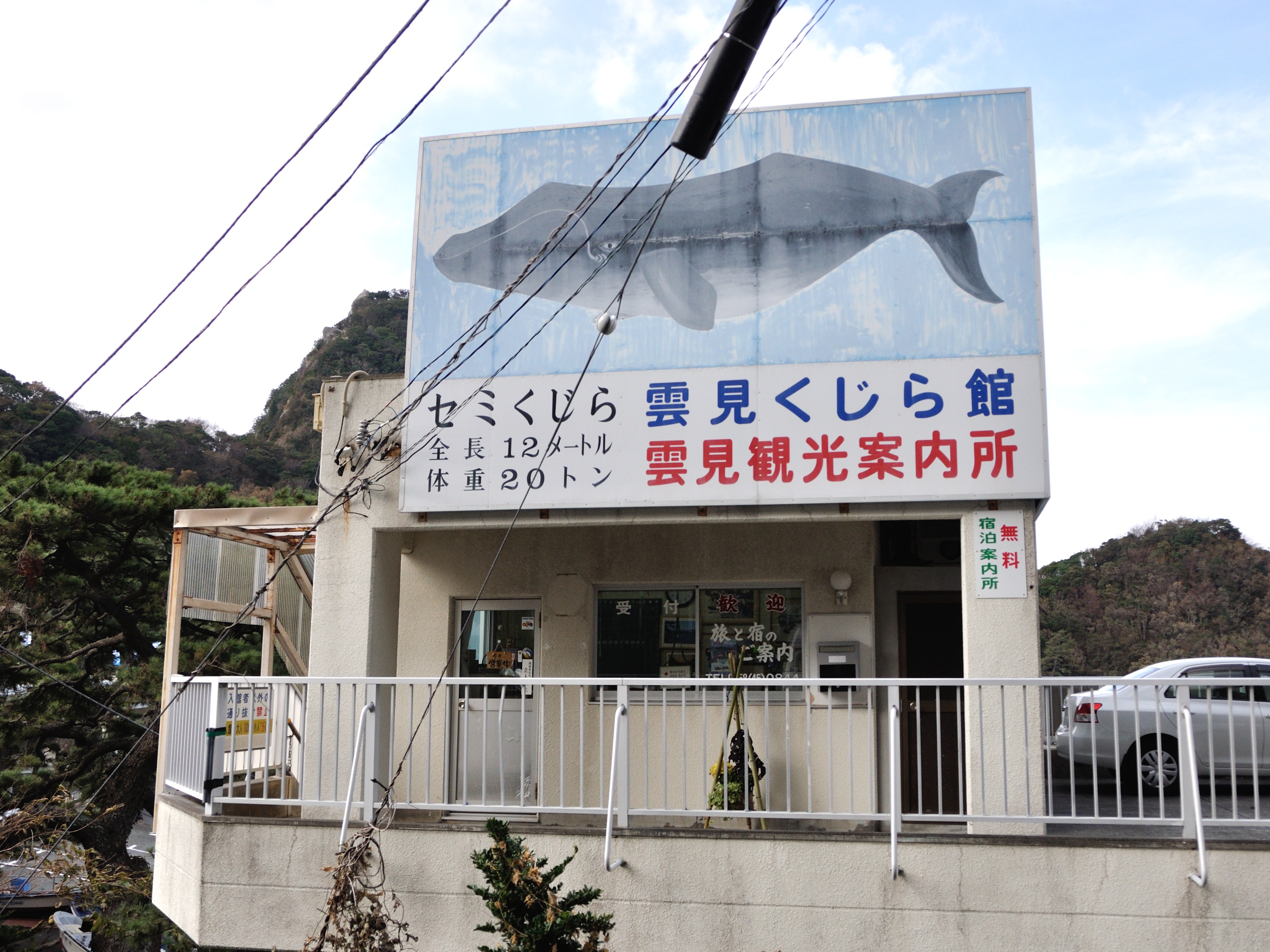 Whale Museum