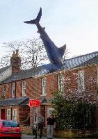Headington Shark