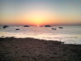 White Shark Travel-Tours