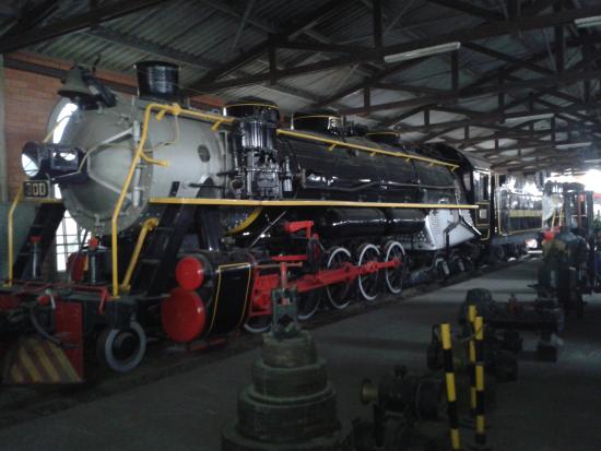 Shark Railroad Museum