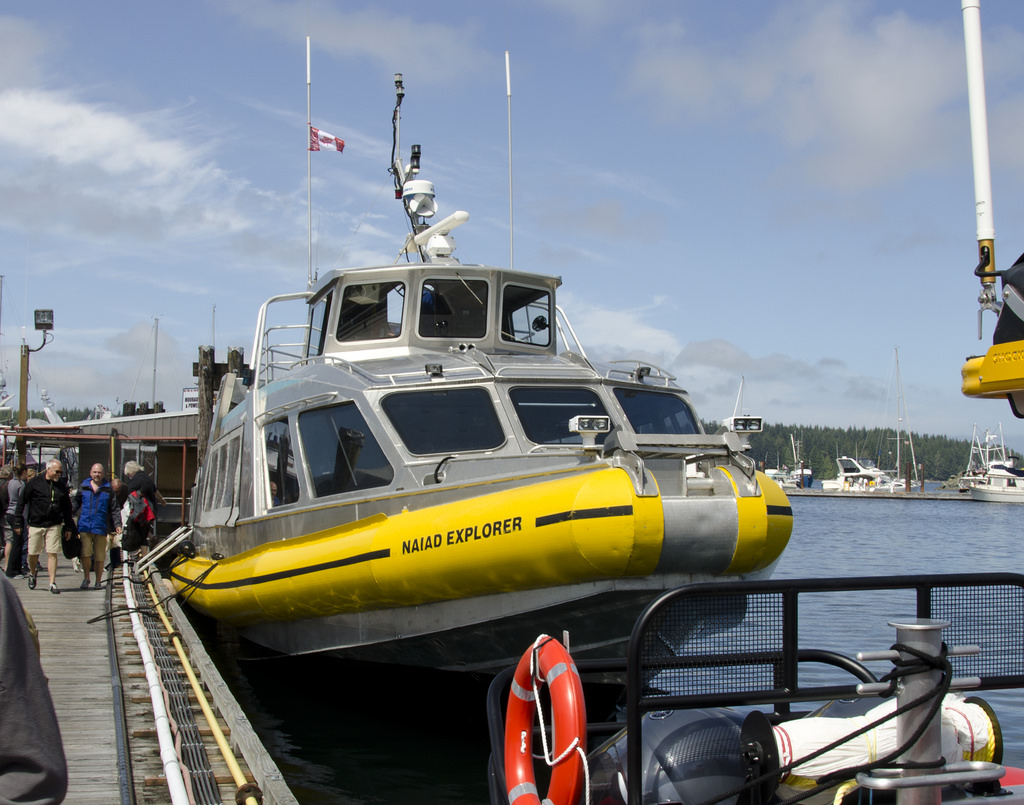 Mackay Whale Watching