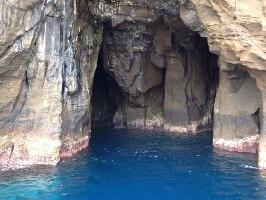 Whale Watching Peter