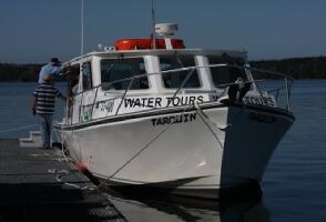 Tarquin Whale Watch