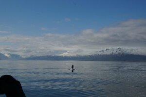 Akureyri Iceland Tour