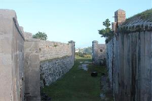 Whale Bay Battery