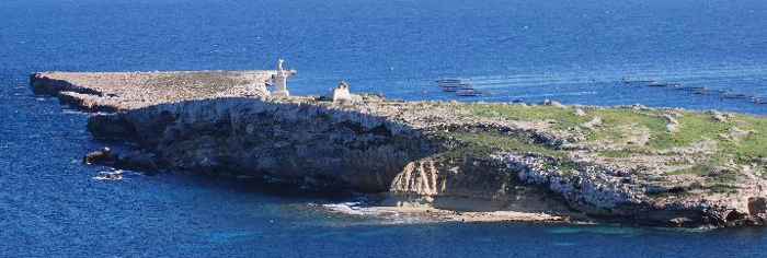 Mad Shark Dive Centre