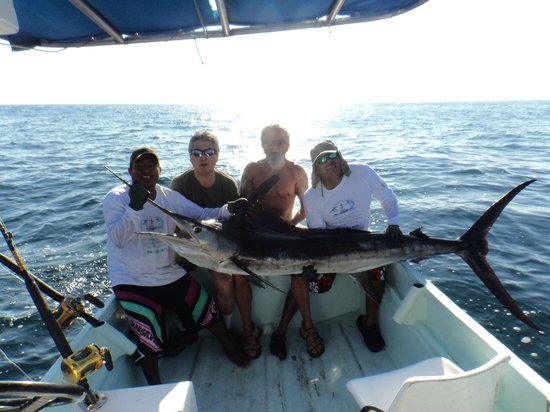 White Shark Sport Fishing and Tours