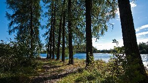 Trondheim Norway Hiking