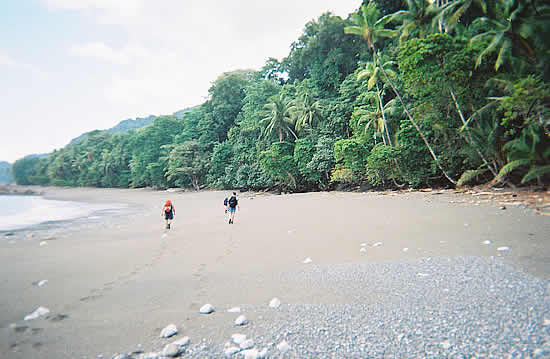 Corcovado Hiking Tours