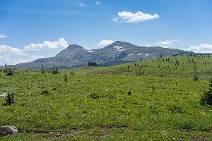 Nature in Focus Hiking Co. Tours