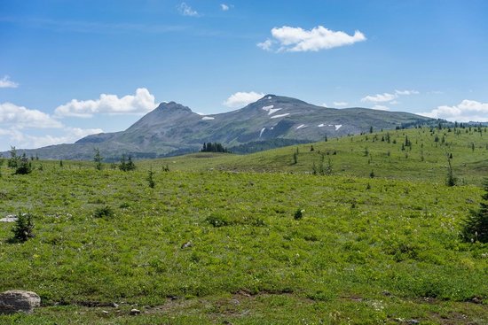 Nature in Focus Hiking Co. Tours