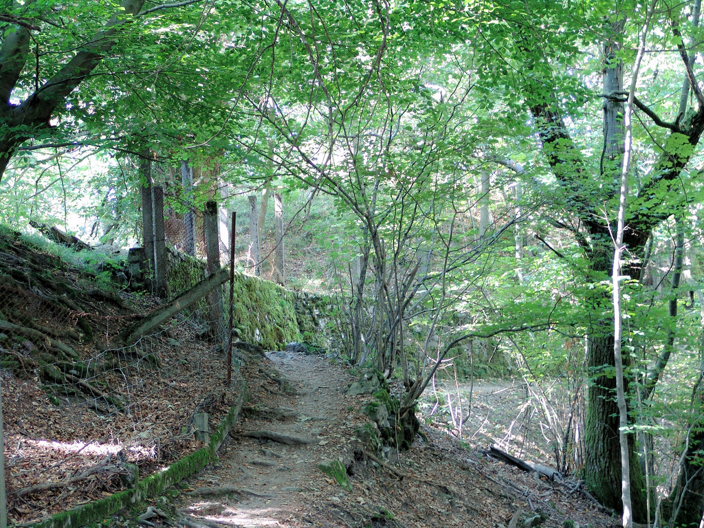 Hiking Como Lake