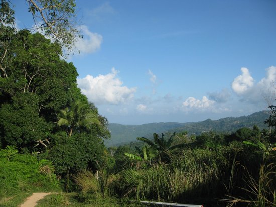Hiking on Samui - Day Tours