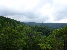 Hiking Oahu Hawaii.com