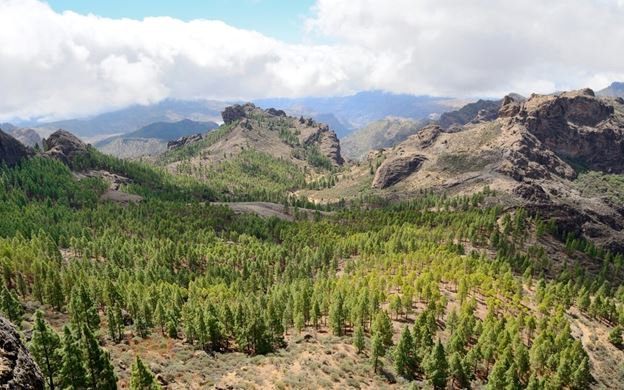 Hiking World Gran Canaria