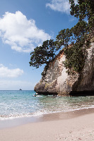 Hahei New Zealand Walk