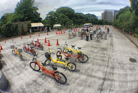 Palace Cycling