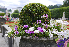 Salzburg Austria Palace