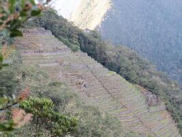 The Ruins of Intipata