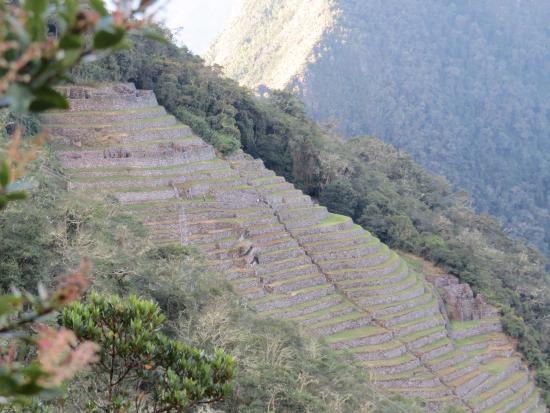 The Ruins of Intipata