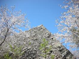 Oita Prefecture Japan Ruin