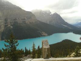 Discover Banff Tours