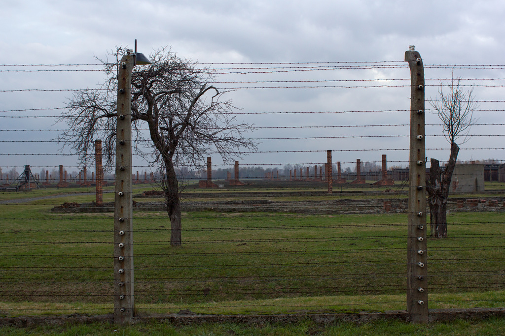 Auschwitz Krakow - Tours