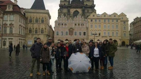 White Umbrella Tours