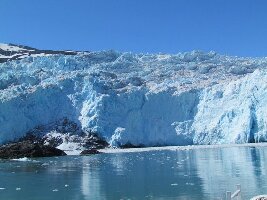 Alaskan Tour Guides Day Tours