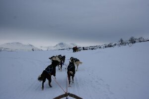 Arctic Adventure Tours - Day Tours