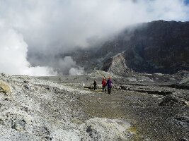 Whakatane New Zealand Helicopter