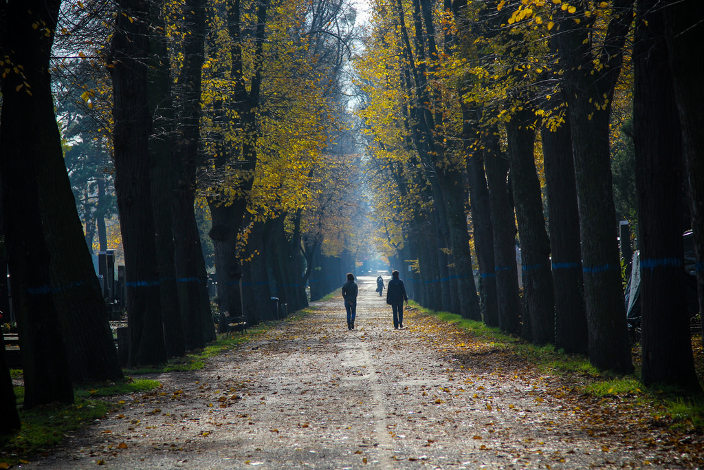Central Cemetery (Zentralfriedhof)