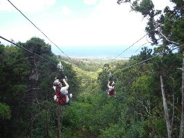 Lahaina United States Zipline