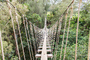 Hawi United States Zipline
