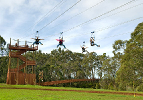 Makawao United States Zipline