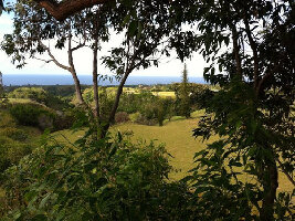 Northshore Zipline Co.