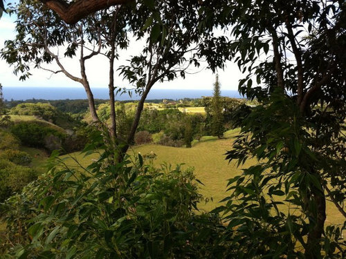 Northshore Zipline Co.