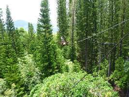 Lihue United States Zipline