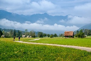 Bohinjska Bistrica Slovenia Zipline