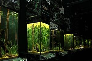 Schrems Austria Park