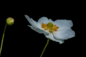 Botanischer Garten