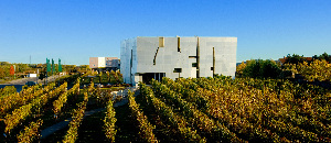 LOISIUM WeinErlebnisWelt and Vinothek