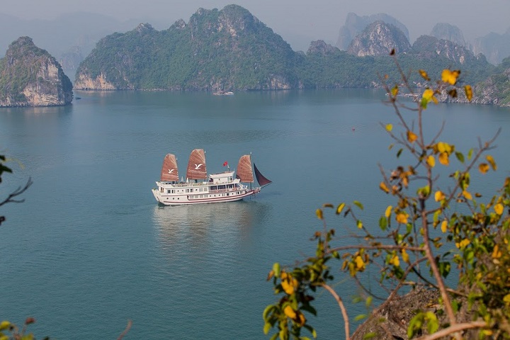 Flamingo Cruise - Day Cruise