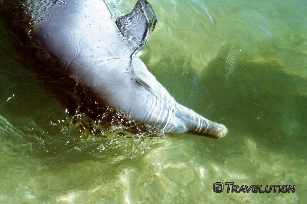 Mandurah Cruises