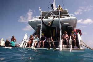 Seastar Cruises Reef Day Trips