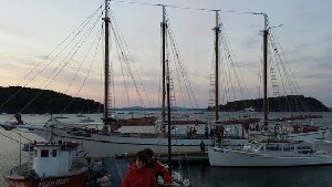 Mount Desert Island United States Cruise