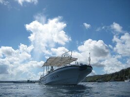 Tetsu Cruise Okinawa - Day Tour