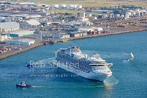 Tauranga New Zealand Cruise