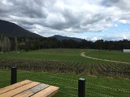 Yarra Valley Canada Winery Tour