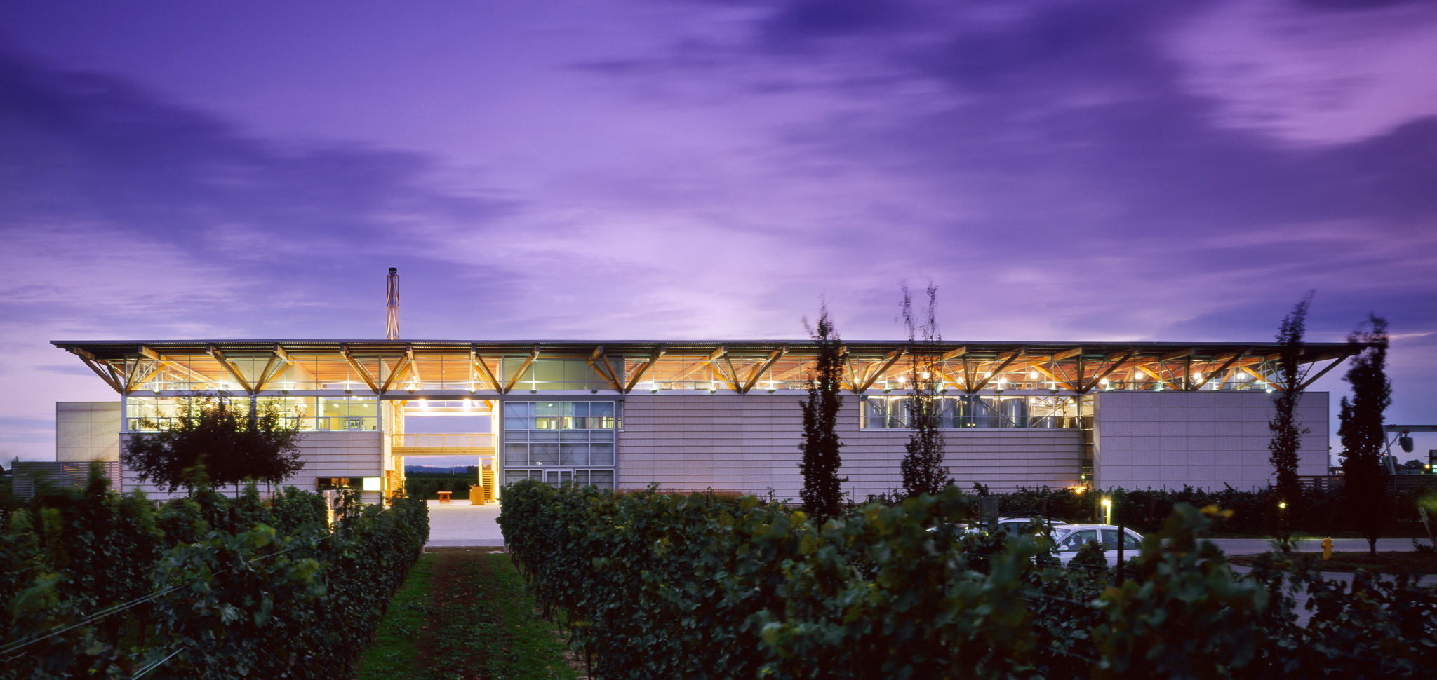 Winery Tours of Niagara